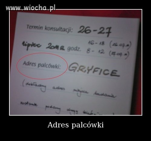 Adres palcówki ???
