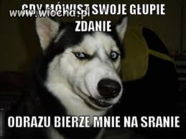 Gdy mówisz swoje głupie zdanie ...