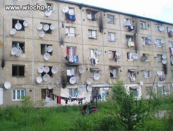 NASA???...ciekaw jestem czy ktoś płaci abonament