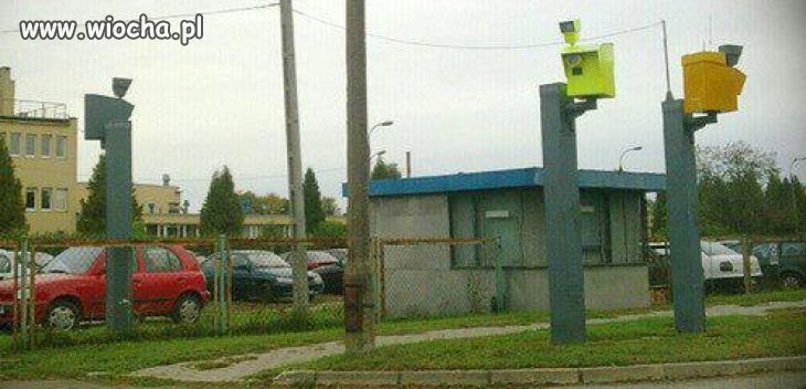 Ktoś chętny do fotografa ?
