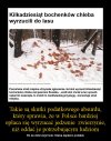 Lepiej wyrzucić niż dać potrzebującym