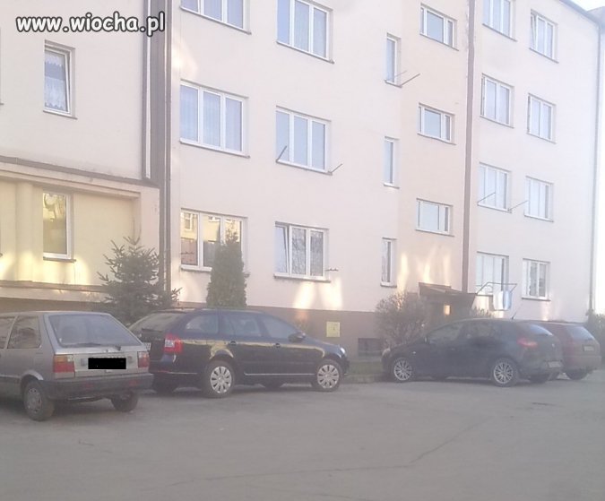 Mistrz Parkowania
