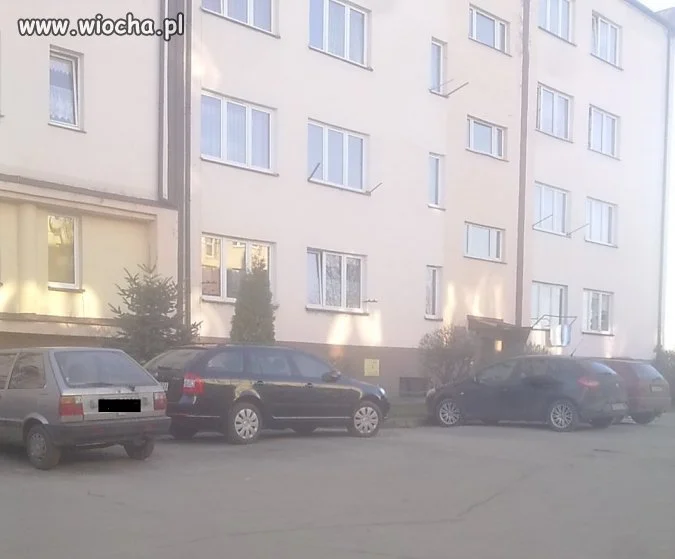 Mistrz Parkowania