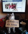 Jak swojemu "kotku" narobić siary w necie