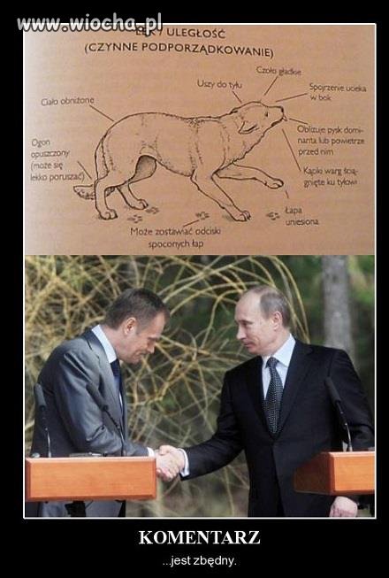 To zdjęcie mówi samo za siebie.