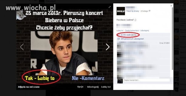 Polska schodzi na psy