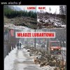 Władze lubartowa