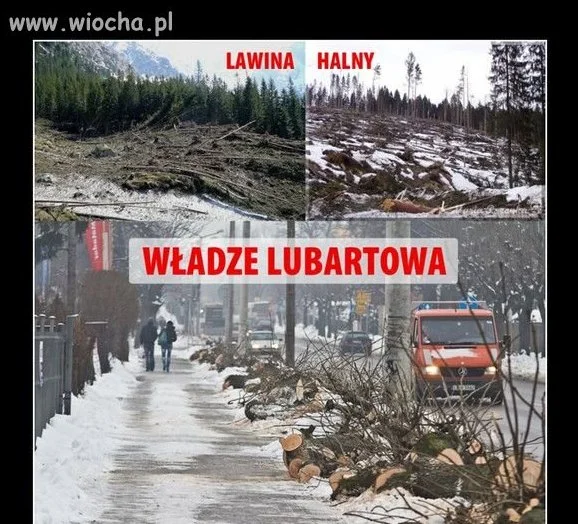 Władze lubartowa