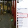 Bieber był w Łodzi , jechał nawet tramwajem