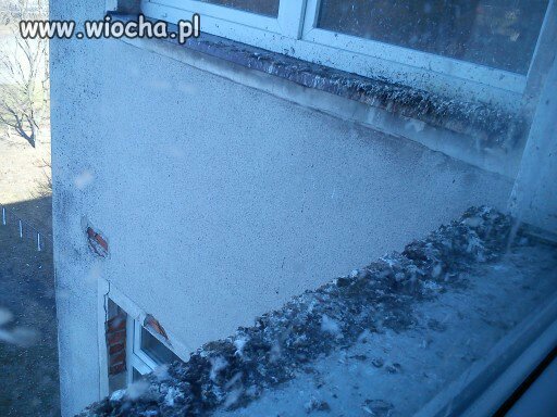 Szkolne parapety w naszym gimnazjum 