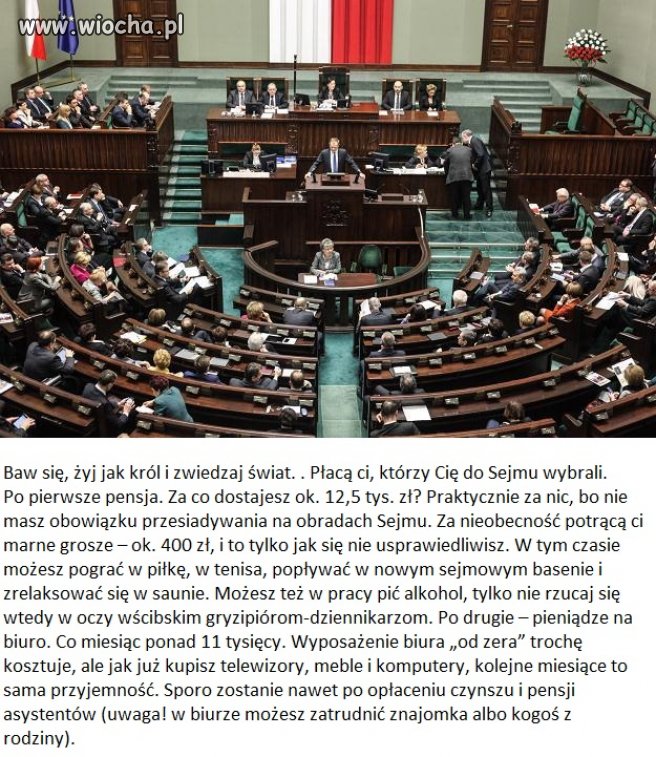 Jak sobie radzą nasi (p)osłowie