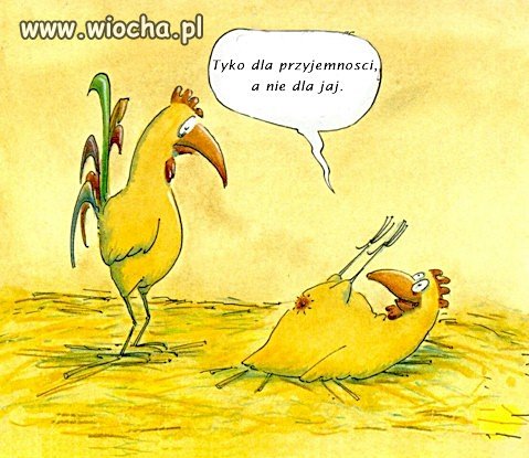 ... tylko dla przyjemności ...