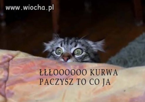 O KU%WA
