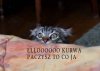 O KU%WA