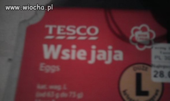 Prawdziwa WIEŚ