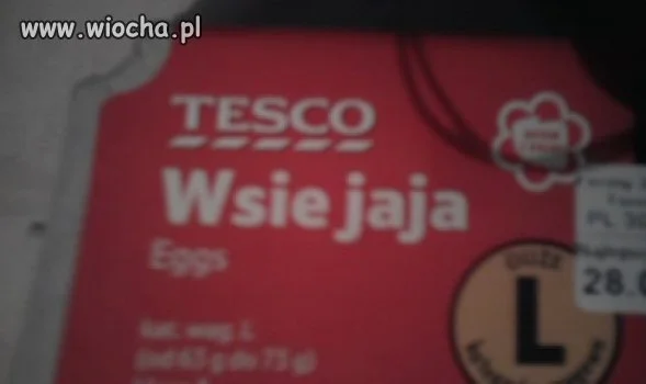 Prawdziwa WIEŚ