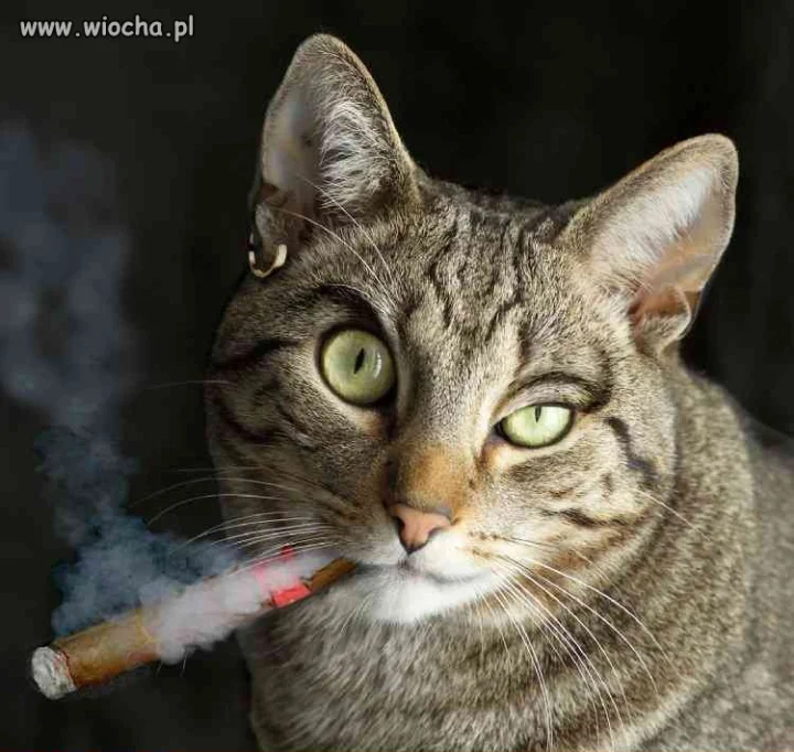 Takie tam
