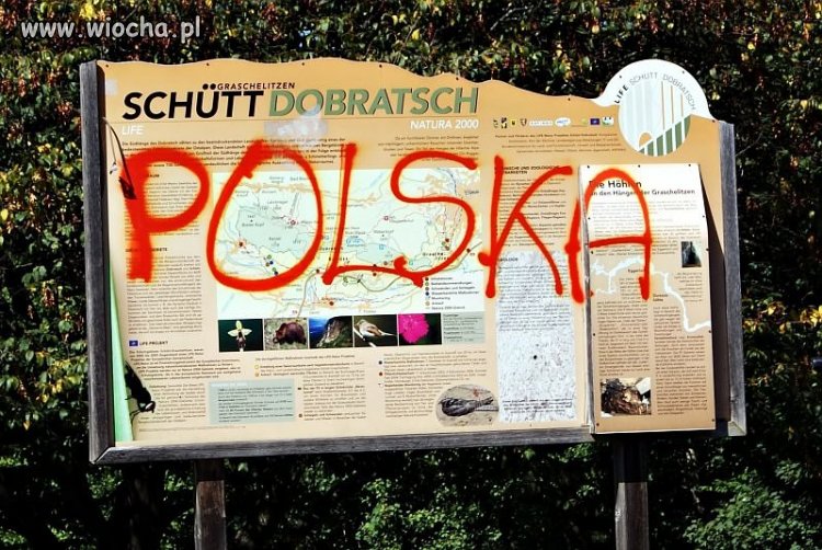 Super reklame Polsce robią