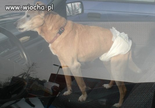 Po co brać ze sobą...