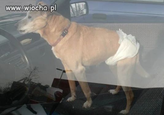 Po co brać ze sobą...