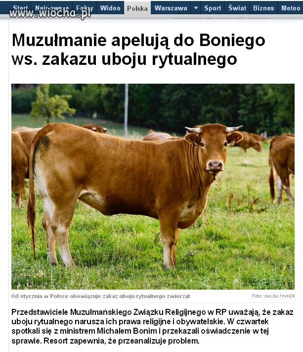 Arabska wiosna zawitała do Polski