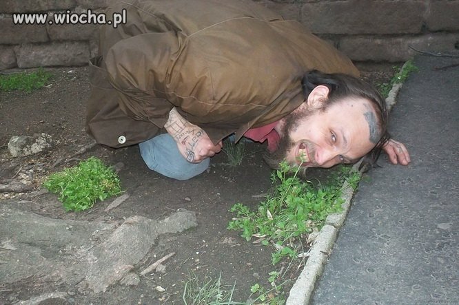 Trochę zieleninki