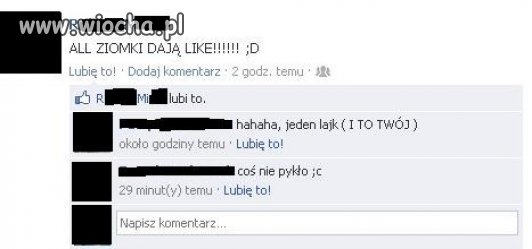 Ziomki