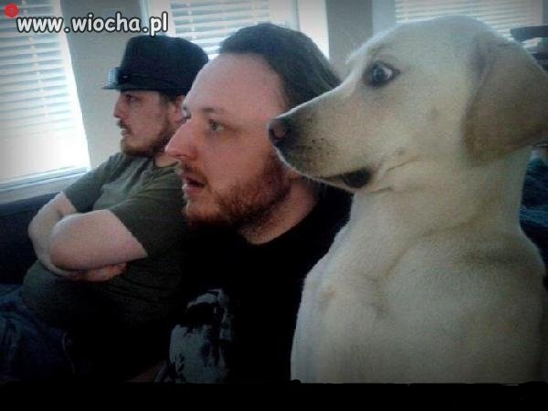 Strach ma wielkie oczy...