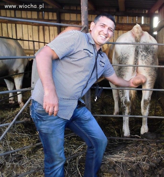 Pokazuję i objaśniam 