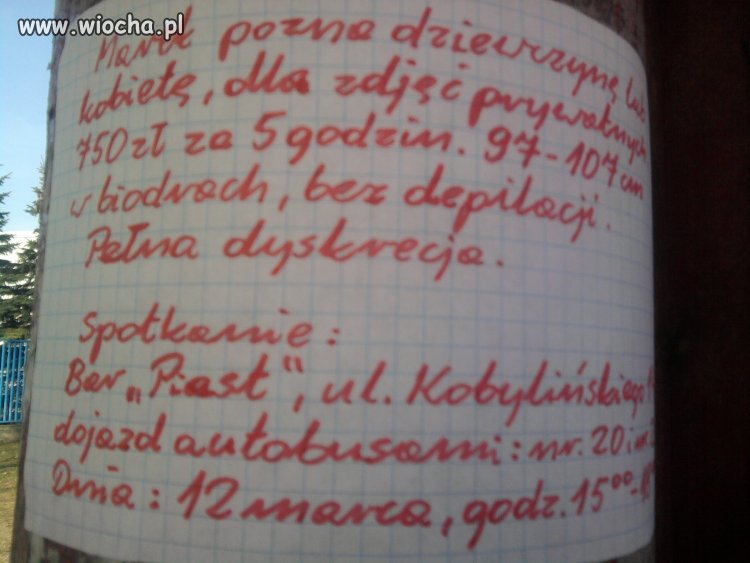 Ogłoszenie na przystanku w Płocku 
