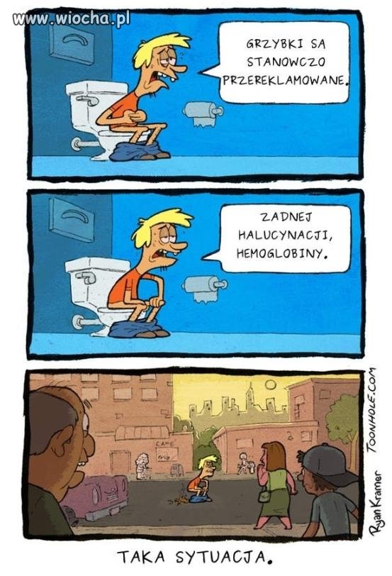 Co pana najbardziej interesuje?