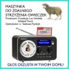 Babka DAWAJ RENTE!!! 