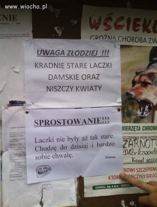 Złodziej 