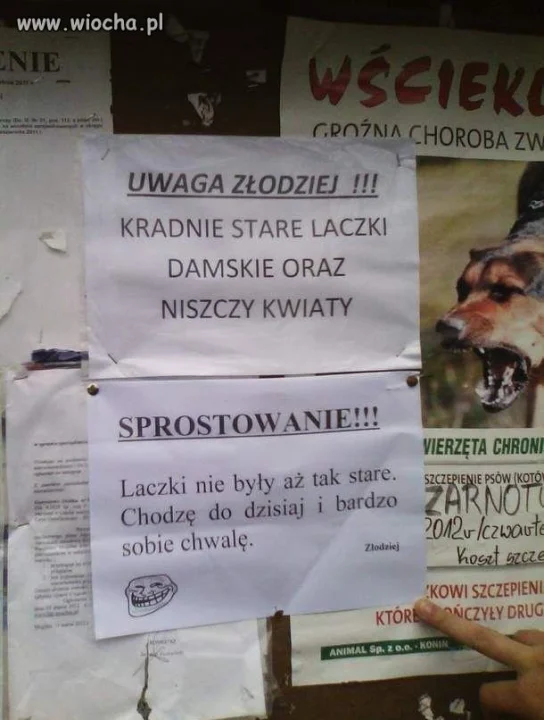 Złodziej 