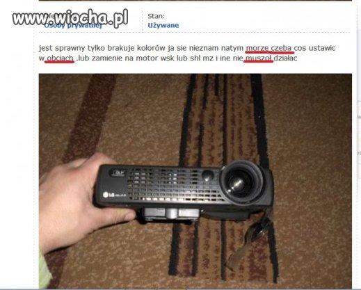 Typowe ogłoszenie w serwisie 