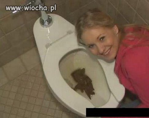 Kolejna sweet fotka z gówn*m