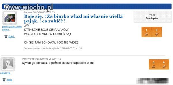 Rozumie Arachnofobia ale odpowiedź gościa
