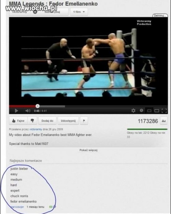 Kategorie MMA