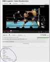 Kategorie MMA