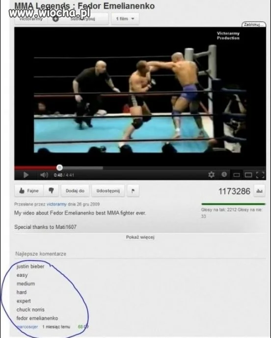 Kategorie MMA