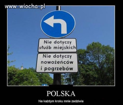 Polska rzeczywistość