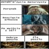 Przed maturą