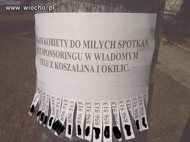 Ogłoszenie na latarni, przy szkole 