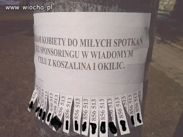 Ogłoszenie na latarni, przy szkole 