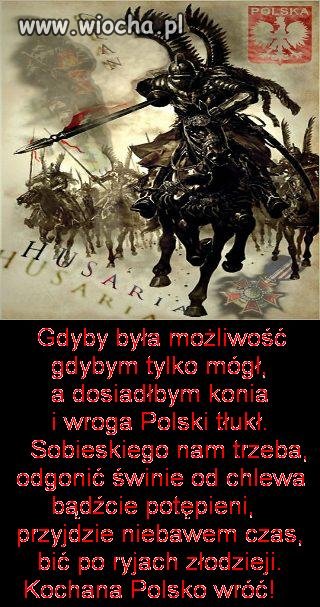 Patriote serce boli, kraj rozkrada banda gnoi