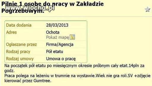 Praca jak marzenie.
