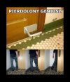 Pomysłowy Dobromir