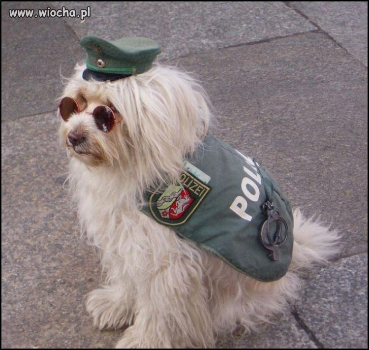 Police