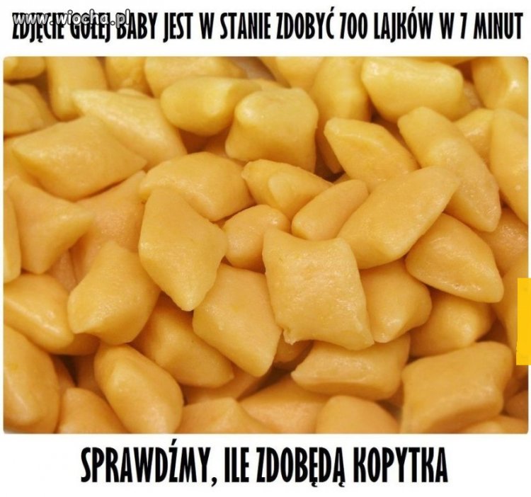 Zdjęcia gołych bab już mi się przejadły