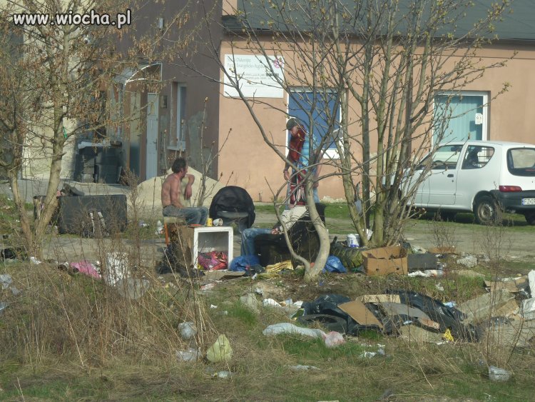 ŻULE Z ZIELONEJ GÓRY
